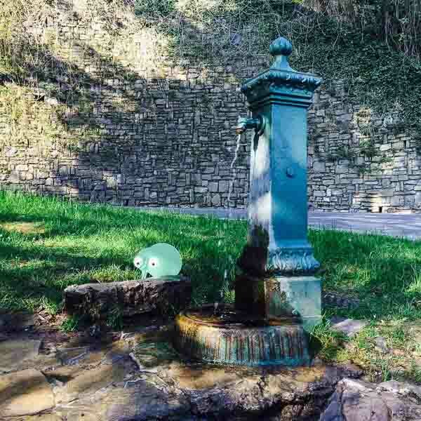 Fontane e fontanelle di Bergamo